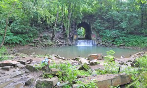 This Quincy swimming hole, known at The Pretty Place, was recently vandalized with graffiti. Sheriff Johnny Bivens is investigating. - Photo by Dennis Brown